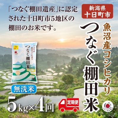 【毎月定期便】新潟県十日町市魚沼産コシヒカリ「つなぐ棚田米」無洗米5kg全4回
