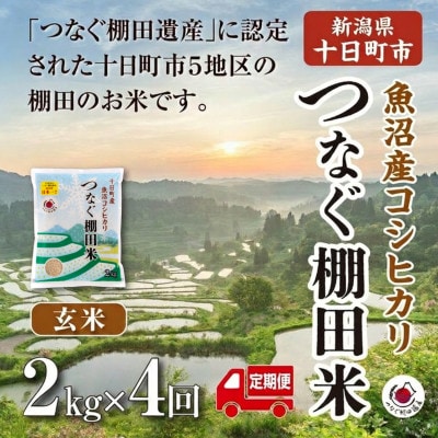 【毎月定期便】新潟県十日町市魚沼産コシヒカリ「つなぐ棚田米」玄米2kg全4回