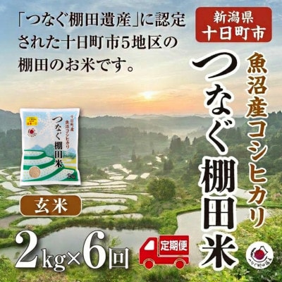 【毎月定期便】新潟県十日町市魚沼産コシヒカリ「つなぐ棚田米」玄米2kg全6回