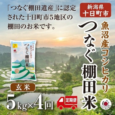 【毎月定期便】新潟県十日町市魚沼産コシヒカリ「つなぐ棚田米」玄米5kg全4回
