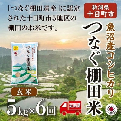 【毎月定期便】新潟県十日町市魚沼産コシヒカリ「つなぐ棚田米」玄米5kg全6回