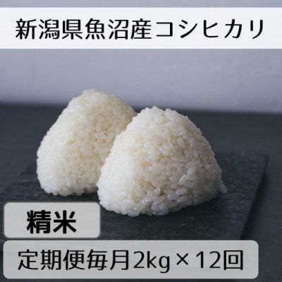 【毎月定期便】新潟県魚沼産コシヒカリ「山清水米」精米2kg全12回