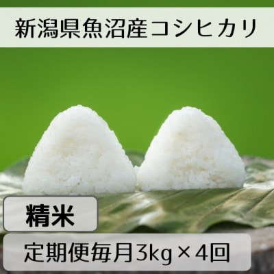 【毎月定期便】新潟県魚沼産コシヒカリ「山清水米」精米3kg全4回