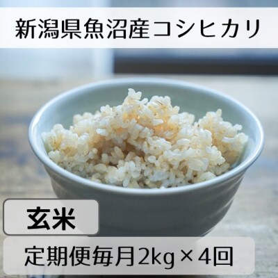 【毎月定期便】新潟県魚沼産コシヒカリ「山清水米」玄米2kg全4回