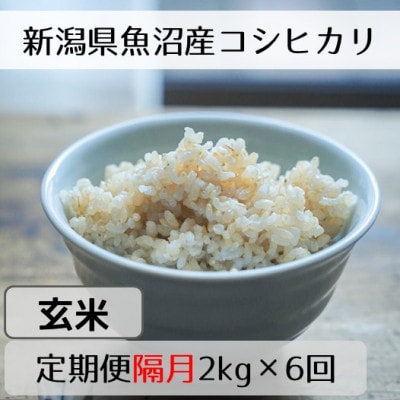 【2ヵ月毎定期便】新潟県魚沼産コシヒカリ「山清水米」玄米2kg全6回