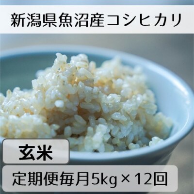 【毎月定期便】新潟県魚沼産コシヒカリ「山清水米」玄米5kg全12回
