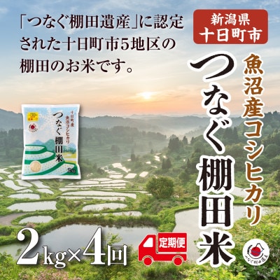 【毎月定期便】新潟県十日町市魚沼産コシヒカリ「つなぐ棚田米」精米2kg全4回