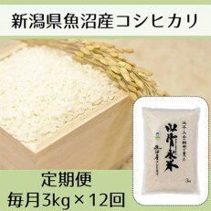 2023年5月発送開始『定期便』農家直送◇魚沼産コシヒカリ「山清水米」精米3kg全12回 | ふるさと納税のお礼品