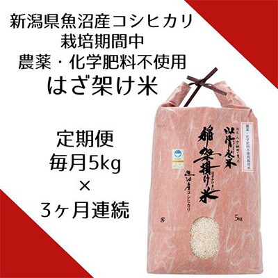 2023年3月発送開始『定期便』栽培期間中農薬・化学肥料不使用「山清水米」はざ架け米5kg全3回