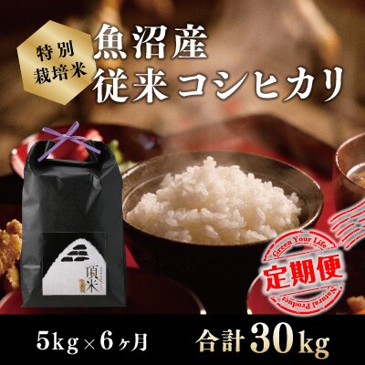 2024年1月発送開始『定期便』【特別栽培米】頂米金兵衛 魚沼産従来コシヒカリ(精米)5kg全6回