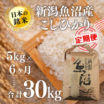 2023年10月発送開始『定期便』新潟魚沼産コシヒカリ(精米)5kg 全6回