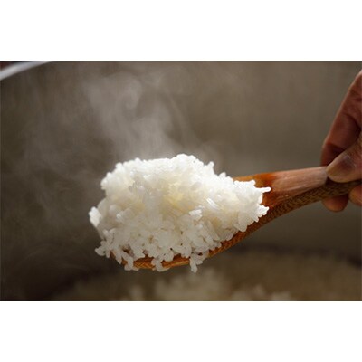 2023年10月発送開始『定期便』新潟魚沼産コシヒカリ(精米)5kg 全6回