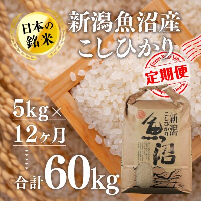 2024年4月発送開始『定期便』新潟魚沼産コシヒカリ(精米)5kg 全12回