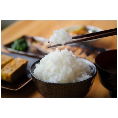 【令和7年産】棚田米　魚沼産コシヒカリ特別栽培米5kg