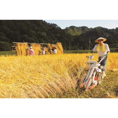 【令和7年産】絶品米　天日干し有機JAS認証魚沼産コシヒカリ2kg