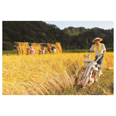 【令和7年産】絶品米　天日干し有機JAS認証魚沼産コシヒカリ4kg(2kg×2袋)