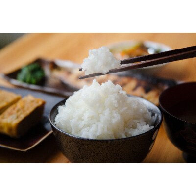 【令和7年産】厳選棚田米(超低農薬)魚沼産コシヒカリ特別栽培米5kg
