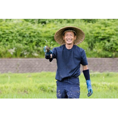 【令和7年産】江戸伝承極上米(有機米)　有機JAS認証魚沼産コシヒカリ10kg(5kg×2)