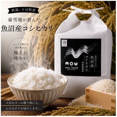 【令和8年産】　魚沼産コシヒカリ特別栽培米　精米2kg