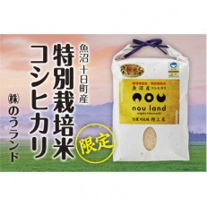 【令和4年産数量限定】魚沼産コシヒカリ特別栽培米5kg(精米)