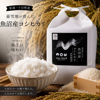 【令和8年産】　魚沼産コシヒカリ特別栽培米　精米5kg