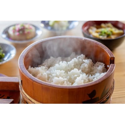 【令和4年産】魚沼産 新之助 2kg