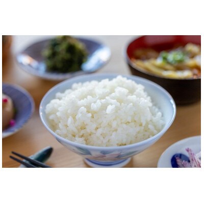 【令和6年産】　魚沼産　新之助　5kg