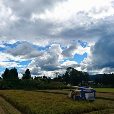 令和7年産 ゆうだい21 5kg