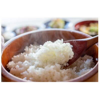 令和7年産 ゆうだい21 10kg(5kg×2袋)