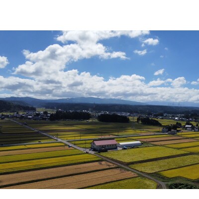 令和7年産 ゆうだい21 4kg(2kg×2袋)