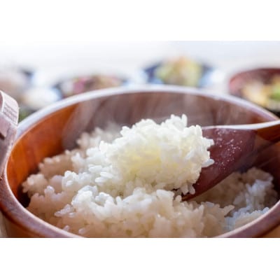 魚沼産コシヒカリ&ゆうだい21　各5kg×1セット(精米)