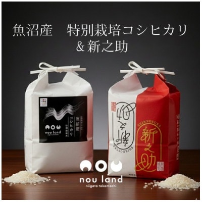 特栽コシヒカリ&新之助　各5kg×1セット(精米)