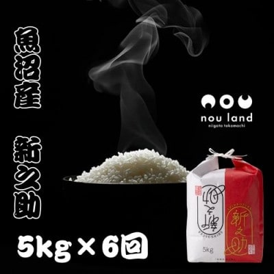 【毎月定期便】魚沼産 新之助 5kg全6回
