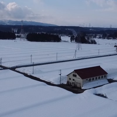 【毎月定期便】魚沼産 新之助 5kg全6回