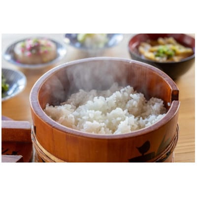 【毎月定期便】魚沼産 新之助 5kg全6回