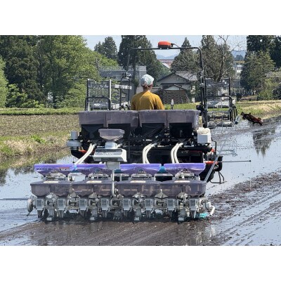 【毎月定期便】魚沼産コシヒカリ 精米 5kg全6回