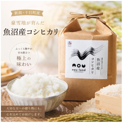 【毎月定期便】魚沼産コシヒカリ精米5kg全3回