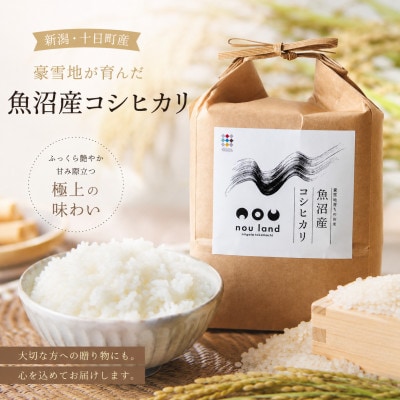 【毎月定期便】魚沼産コシヒカリ精米5kg全6回