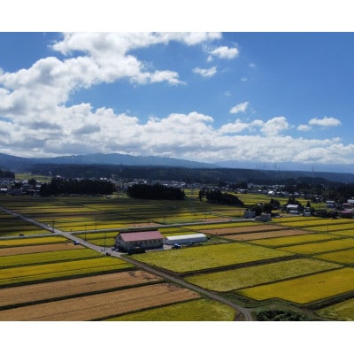 【毎月定期便】魚沼産コシヒカリ　特別栽培米　精米5kg全6回
