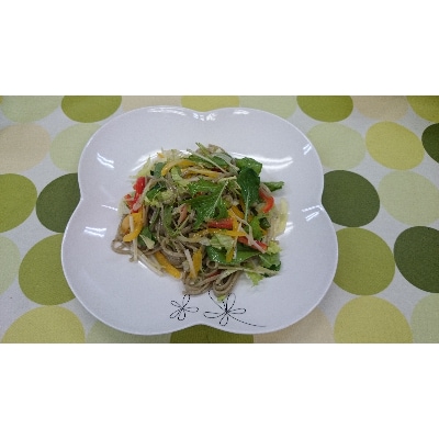 雪国越後十日町からむし麺