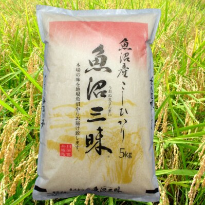【令和4年度産】魚沼産コシヒカリ 5kg