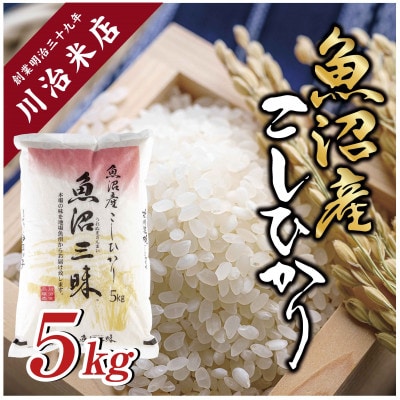 【令和6年産】魚沼産コシヒカリ 「魚沼三昧(R)」5kg×1袋 新潟県十日町市