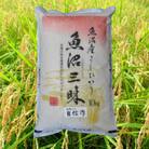【令和6年産】魚沼産コシヒカリ自信作　10kg