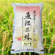【令和4年度産】魚沼産コシヒカリ天日干米　5kg