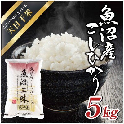 【令和6年産】魚沼産コシヒカリ 天日干米「魚沼三昧(R)」5kg×1袋 新潟県 十日町市