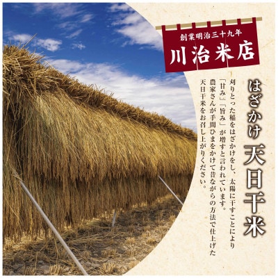 【令和6年産】魚沼産コシヒカリ 天日干米「魚沼三昧(R)」5kg×1袋 新潟県 十日町市