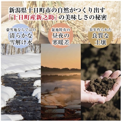 【令和6年産】新潟の新しいプレミアム米、魚沼産「新之助」5kg×1袋 新潟県 十日町市