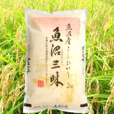 【令和4年度産】魚沼産コシヒカリ 2kg