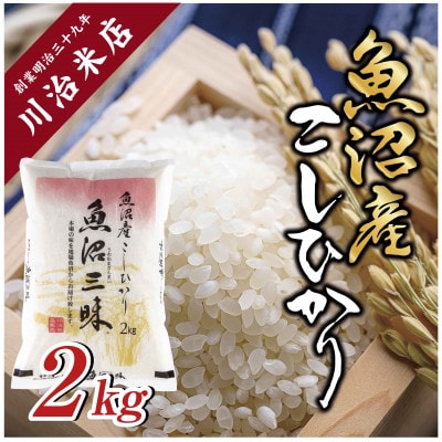 【令和6年産】魚沼産コシヒカリ 「魚沼三昧(R)」2kg×1袋 新潟県 十日町市