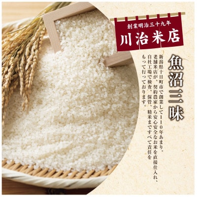 【令和6年産】魚沼産コシヒカリ 「魚沼三昧(R)」2kg×1袋 新潟県 十日町市